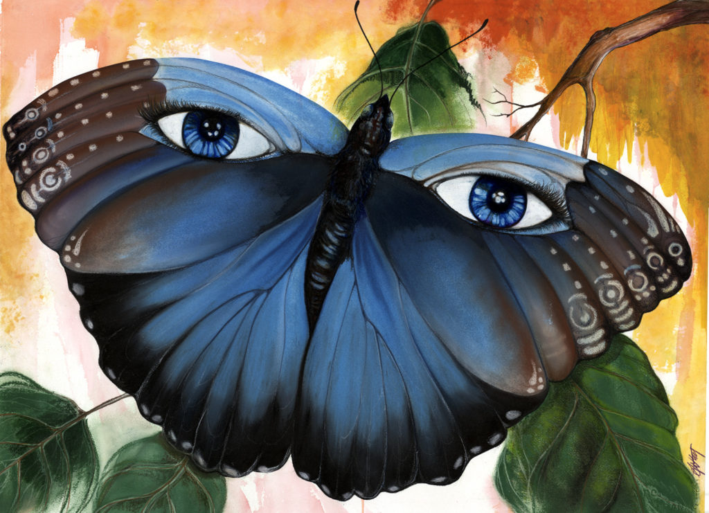 Butterfly: How Many Eyes Do Butterflies Have? What do They See?